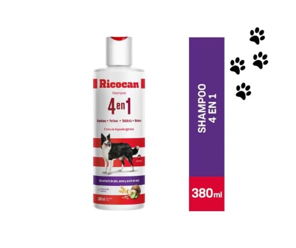 Shampoo RICOCAN 380ml