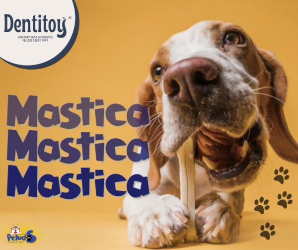 -DENTITOY- carnazas 1/2 Kg - Imagen 2