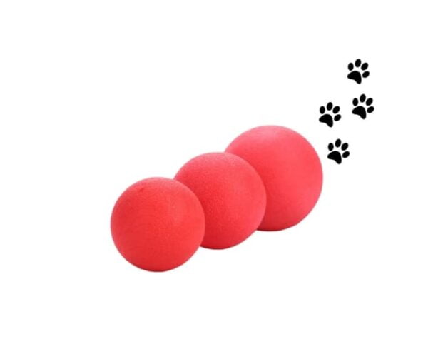 Pelota de -GOMA- M