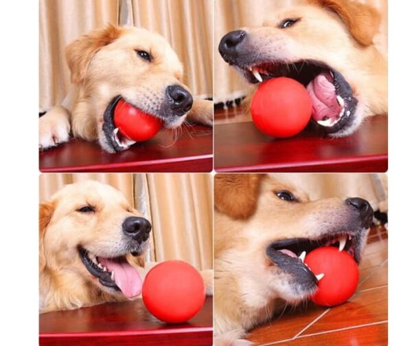 Pelota de -GOMA- M - Imagen 2