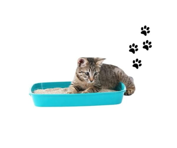 Bandeja para arena de gato