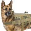 pechera para perros
